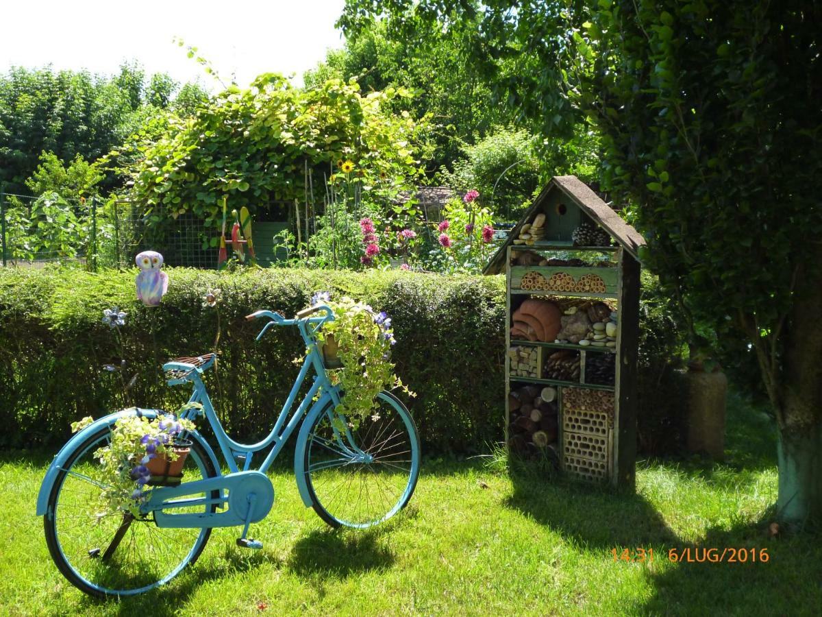 Bed & Bike Belfiore Montagnana  Exteriör bild
